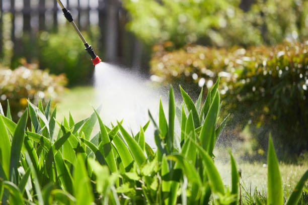 24/7 Emergency Wasp Removal experts in St. Clair Shores, MI