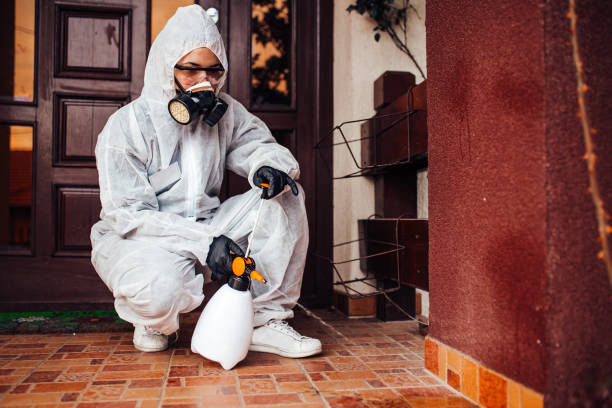 Reliable Wasp Removal contractor in St. Clair Shores, MI by Show Me Pest Control
